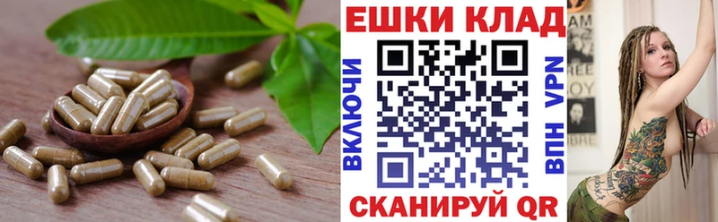 наркотики  Протвино  Экстази 280 MDMA 